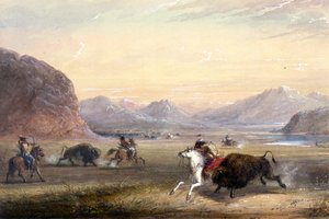 Caça ao bisonte, perto de Independence Rock de Alfred Jacob Miller