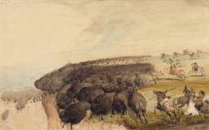 Condução de rebanhos de búfalos sobre um precipício, c.1837 (lápis, caneta e tinta e aguarela sobre papel) de Alfred Jacob Miller
