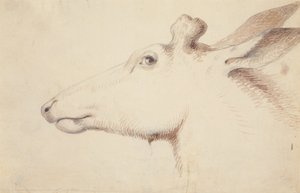 Alce. c.1837 (desenho) de Alfred Jacob Miller