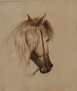Cabeça de cavalo de Alfred Jacob Miller