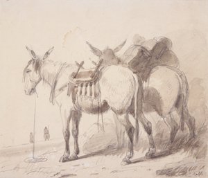Mule Equipment, c.1837 (lápis e lavagem em papel) de Alfred Jacob Miller