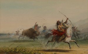 A fanfarronice de Alfred Jacob Miller