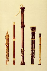 Um flageolet duplo, uma flauta alemã, um gravador de graves, um flageolet duplo e um gravador, de &39;Instrumentos Musicais&39; (litografia colorida)