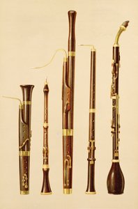 Um dulciano, um oboé, um fagote, um oboé da caccia e um chifre de basset, de &39;Instrumentos Musicais&39; (litografia colorida)