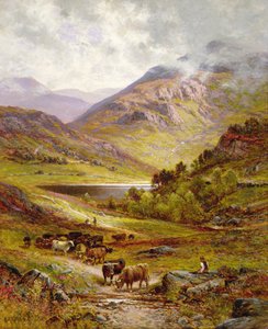 Gado de Longhorn numa Paisagem Montanhosa