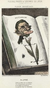 Déséchée flower: cartoon on Littré - ill. from 01/02/1871 in " Flores, Fruits and Vegetables of the Day" (Flores, Frutas e Legumes do Dia) de Alfred Le Petit