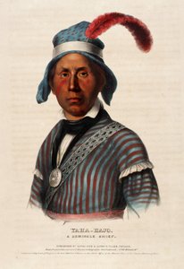 Yaha-hajo. Um chefe Seminole. de Alfred M. Hoffy