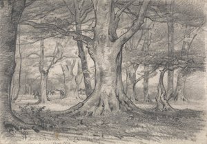 Uma Paisagem Florestal perto de Boldrewood de Alfred Parsons