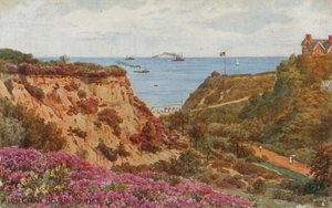 Alum China, Bournemouth de Alfred Robert Quinton