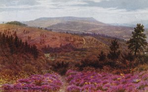 Blackdown de Hindhead de Alfred Robert Quinton