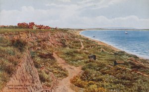 Cliffs, olhando para o leste, Barton-on-Sea de Alfred Robert Quinton
