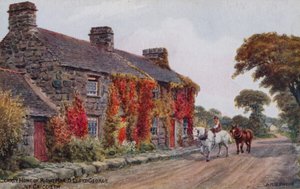 Early Home of Right Hon. D. Lloyd George, nr. Criccieth de Alfred Robert Quinton