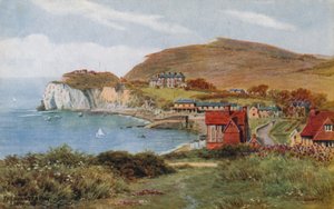 Baía de água doce, eu de Wight de Alfred Robert Quinton