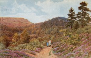 Hindhead de Alfred Robert Quinton