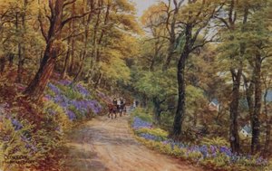 Hobby Drive, Clovelly (cor litho) de Alfred Robert Quinton