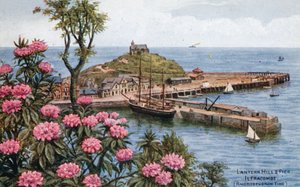 Colina da lanterna e cais, Ilfracombe, (tempo do rododendro) de Alfred Robert Quinton