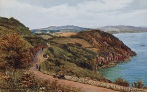 Passeio Marítimo e Bispos a pé, Torquay de Alfred Robert Quinton