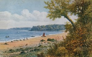 Vista do Mar da Baía do Priorado, Ilha de Wight de Alfred Robert Quinton