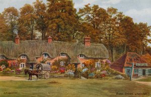 Cisne Verde, Lyndhurst de Alfred Robert Quinton