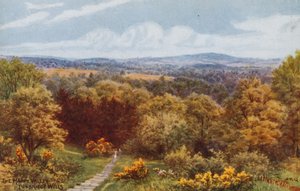 O Vale Feliz, Tunbridge Wells