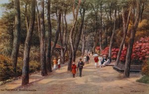 A caminhada do pinho, Bornemouth de Alfred Robert Quinton