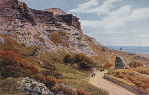 O Undercliff, Niton, eu do Wight de Alfred Robert Quinton