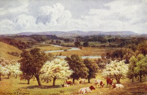 O Vale do Evesham de Alfred Robert Quinton