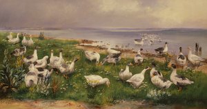 Gansos de Alfred Schonian
