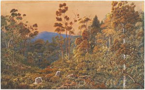 Uma véspera de ouro, Ilha Waiheke de Alfred Sharpe