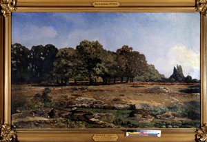 Aleia de castanheiros à Celle Saint Cloud por Alfred Sisley (1839-1899) 1865 de Alfred Sisley
