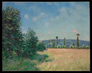 Os prados de Sahurs ao sol da manhã de Alfred Sisley