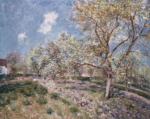 Primavera em Veneux, 1880 de Alfred Sisley