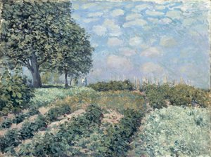 The Market Gardens de Alfred Sisley