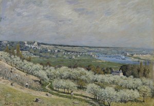 The Terrace at Saint-Germain, Spring de Alfred Sisley