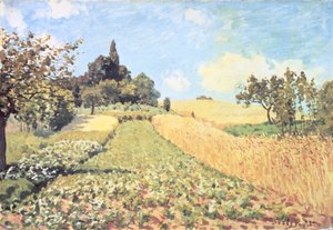 Campo de Trigo (óleo sobre tela) de Alfred Sisley