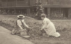 Um canteiro de flores em Oaklawn de Alfred Stieglitz