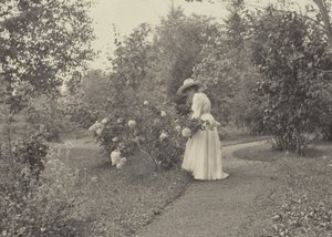 Em Oaklawn de Alfred Stieglitz