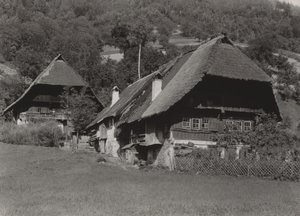 Casa da Floresta Negra de Alfred Stieglitz