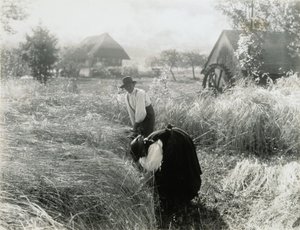 De manhã cedo