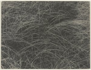 Equivalente de Alfred Stieglitz