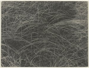 Equivalente, 1927. de Alfred Stieglitz