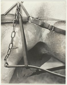Equivalente, América Espiritual de Alfred Stieglitz
