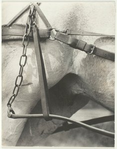 Equivalente, América Espiritual, 1923. de Alfred Stieglitz
