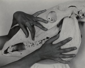  de Alfred Stieglitz