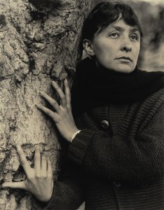  de Alfred Stieglitz