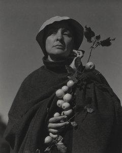  de Alfred Stieglitz