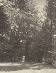  de Alfred Stieglitz