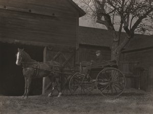 Cavalo e carruagem de Alfred Stieglitz