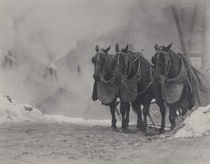 Cavalos, Nova Iorque de Alfred Stieglitz