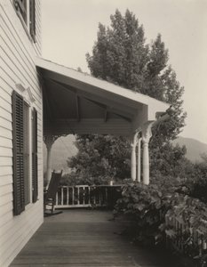 Casa, Folhas e Árvore de Alfred Stieglitz